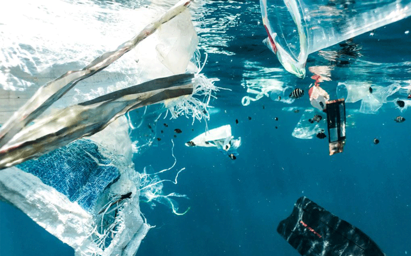 Océan, déchets recyclés et goodies : un trio possible